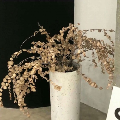 Furry数字绘画入门指南Furry群